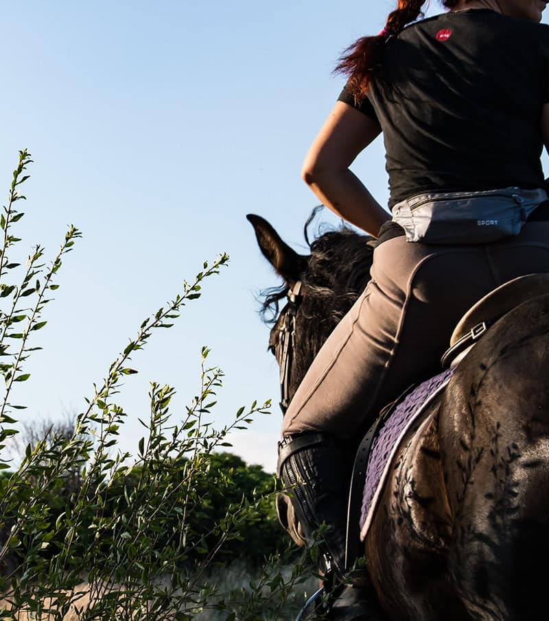 Horse Riding
